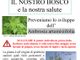Lozzolo: Comunicato sulla prevenzione di allergopatie derivanti da Ambrosia artemisiifolia