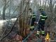 Incendio tra Rovasenda e Roasio: Vigili del Fuoco e Aib domano il rogo