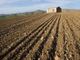 Inail, in Piemonte oltre 10 milioni di euro per la sicurezza nelle piccole aziende agricole