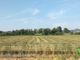 Dalla Regione nuove misure di sostegno per le aziende agroalimentari del Piemonte.