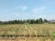Indennità agli agricoltori operanti nelle zone montane, la Regione apre il bando da 13 milioni di euro.