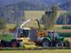 Regione, prorogata 15 marzo 2022 la scadenza del bando 2021 a favore dell’agroindustria