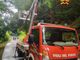 Alberi pericolanti in Valsesia, intervengono i Vigili del fuoco.