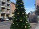 Luci e magia: a Quarona arriva il grande albero di Natale