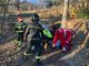 Schiacciato da un albero, è grave in ospedale
