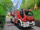 Albero pericolante a Borgosesia, intervengono i Vigili del Fuoco