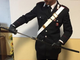 Le armi sequestrate dai Carabinieri