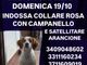 Romagnano Sesia, si cerca la cagnolina smarrita domenica 19 ottobre: l’appello dei proprietari