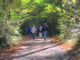 Montagne covid free: il piano piemontese