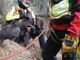 Cane bloccato su una cengia al Mottarone da due giorni. Salvato dal Soccorso Alpino e Vigili del Fuoco