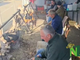 Al Mercatino degli Angeli va a ruba l'angolo delle castagne realizzato dai volontari (video di Mauro Benedetti per newsbiella.it)