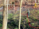 Cavi elettrici tranciati da un albero: incendio sopra Quarona
