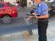Quattro persone denunciate a Crescentino