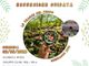 A Grignasco una giornata nel bosco con le Guide ufficiali: escursione tra natura e osservazione il 3 maggio