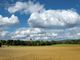 Regione, ecco il bando per misure agroclimatico ambientali con 16,5 milioni a sostegno di agricoltori e allevatori