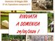 Rinviata al 24 maggio la Fiera della Valmastallone a Fobello