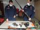 Due cacciatori sorpresi dai Carabinieri mentre usavano richiami acustici vietati