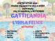 Gattinara, al via le iscrizioni per “Gattilandia – L’isola felice”, centro estivo 2026 al Palazzetto dello Sport