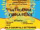 &quot;Gattilandia l'Isola Felice&quot;, il centro estivo 2025 promosso dall'Asilo Patriarca