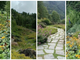 Un'immersione nella natura: al Giardino Botanico di Alagna un anfiteatro naturale.