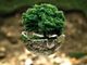 Finanziato bando regionale “Green Communities Piemonte”, UNCEM: “Siamo regione modello”.