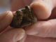 Fermata con l'hashish: segnalata una 30enne