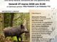 A Gattinara una serata sul cinghiale tra gestione etica, ambiente e convivenza con la fauna selvatica A Gattinara una serata sul cinghiale tra gestione etica, ambiente e convivenza con la fauna selvatica