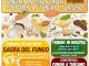 Scopello, alla scoperta dei funghi tra cultura e gusto: Mostra micologica e Sagra del Fungo