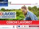 Coronavirus, &quot;Io Lavoro in Agricoltura&quot;. Iniziativa della regione Piemonte