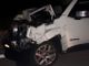 Jeep investe un cervo di 200 chili. L'animale è stato abbattuto a seguito delle ferite riportate FOTO