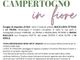 Campertogno in fiore: nasce un gruppo d'acquisto Campertogno in fiore: nasce un gruppo d'acquisto