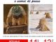 Grignasco celebra i 100 anni dalla nascita di Franco Fizzotti con la mostra “Memorie di vita quotidiana e scorci di paese”