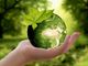 Nasce la Green Community Sesia Green
