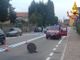 Foto comando provinciale Vigili del Fuoco di Vercelli