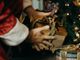 Scopello: Porta a Babbo Natale la tua letterina