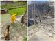Maltempo, ulteriori conseguenze a Piode: frane e allagamenti nella zona di Alpe Meggiana VIDEO