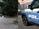 Foto di repertorio