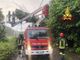 Quarona: Albero pericolante su cavi della luce, messa in sicurezza a cura dei Vigili del Fuoco