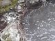Schiuma e moria di pesci nel rio Cavaglia a Quarona