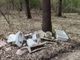 A Gattinara nuovi rifiuti abbandonati nel bosco: il Comitato richiama al rispetto del territorio A Gattinara nuovi rifiuti abbandonati nel bosco: il Comitato richiama al rispetto del territorio