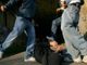 Dal nord ovest: Rissa in piazza a Robbio: denunciati sei giovani
