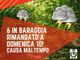 Romagnano Sesia, “6 in Baraggia” rinviato a domenica 10 ottobre