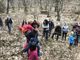 Il &quot;sabba dei rospi&quot; sabato al laghetto di Sant'Agostino di Quarona