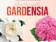 Bentornata Gardensia AISM 2024. il 9 e 10 marzo nelle piazze della Valsesia