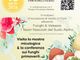 Varallo in Fiore, il 12 aprile spazio a mostra micologica e conferenza sui funghi primaverili Varallo in Fiore, il 12 aprile spazio a mostra micologica e conferenza sui funghi primaverili