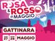 Gattinara: Tutto pronto per l'edizione 2023 di Rosa e Rosso di Maggio
