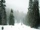 Neve e pioggia: allerta arancione e pericolo valanghe 4 su 5