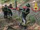 Soccorso Persona a Folecchio di Rossa
