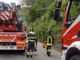Valdilana, cade pianta al bivio per Ponzone in piena notte: in azione i Vigili del Fuoco (foto di repertorio)