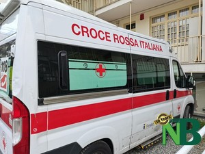 Animale selvatico sulla strada, il camper si ribalta per evitarlo tra Valdilana e Pray (foto di repertorio)